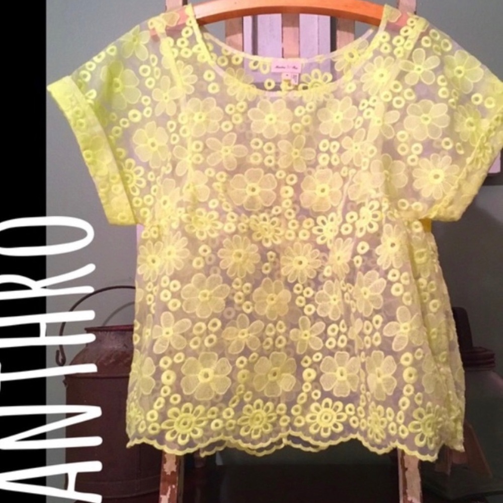 NEON Anthropologie Sheer Boxy Meadow Rue top